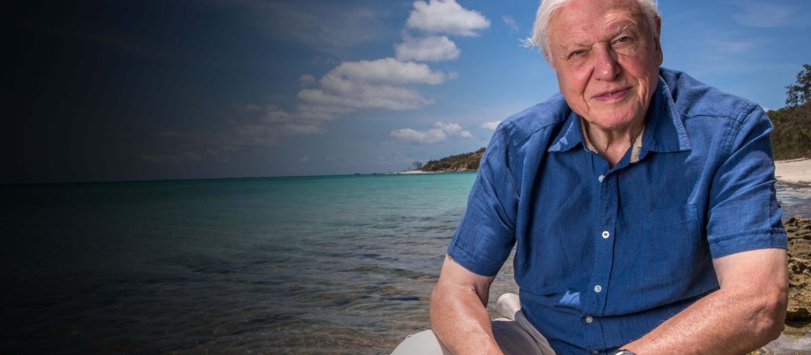 100 éves Sir David Attenborough